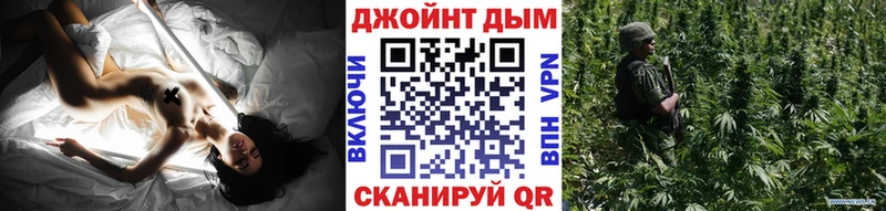 Бошки Шишки Великие Луки