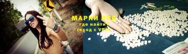 ПСИЛОЦИБИНОВЫЕ ГРИБЫ Рославль