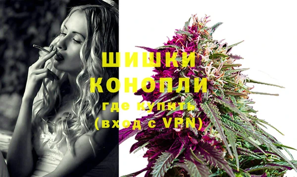 ПСИЛОЦИБИНОВЫЕ ГРИБЫ Рославль
