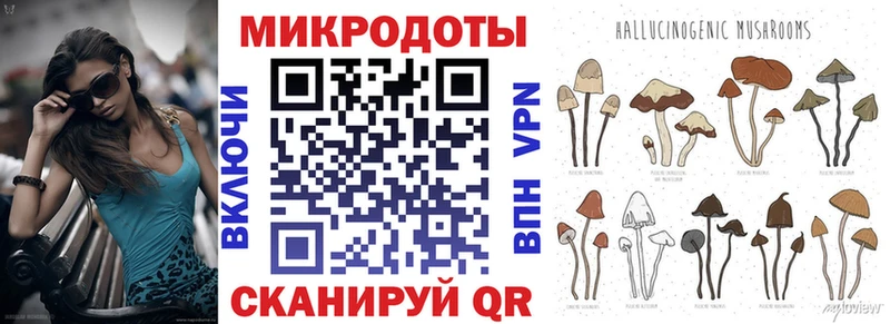 Галлюциногенные грибы Psilocybe  Великие Луки 