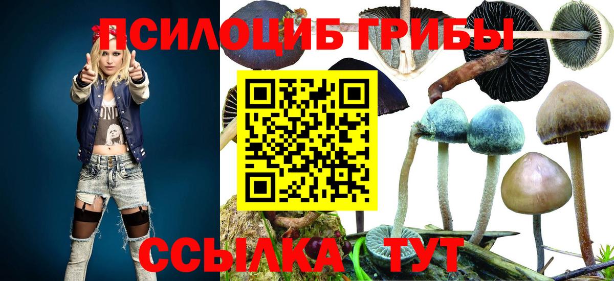 Великие Луки  Псилоцибиновые грибы GOLDEN TEACHER  Галлюциногенные грибы Psilocybe  Вход с VPN 